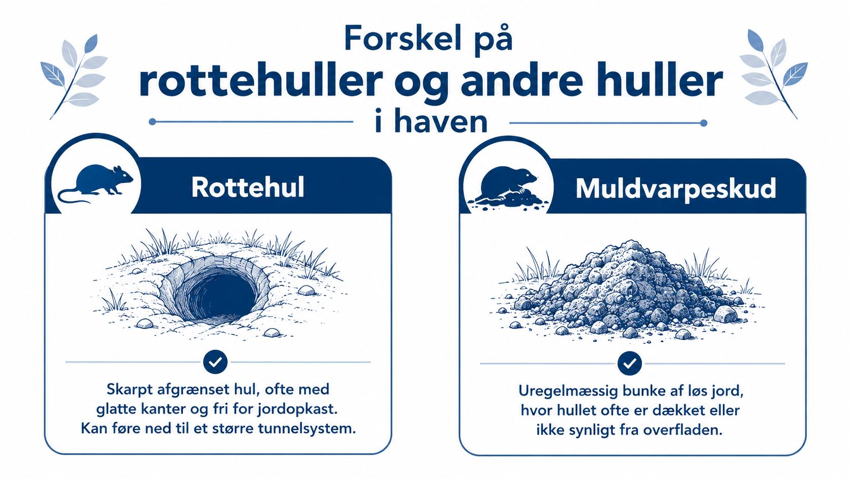 En infografik der viser forskellen på et rottehul og et muldvarpeskud i haven med forklarende tekst.