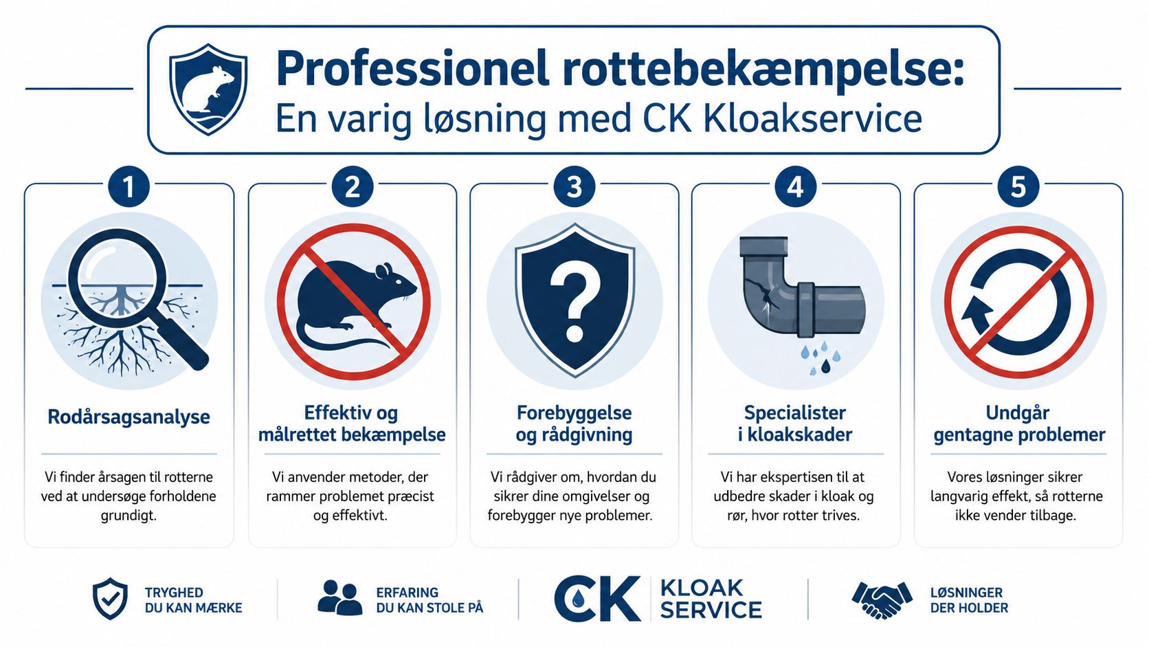En infografik fra CK Kloakservice der viser deres femtrins professionelle proces til effektiv bekæmpelse af rotter i hjemmet.