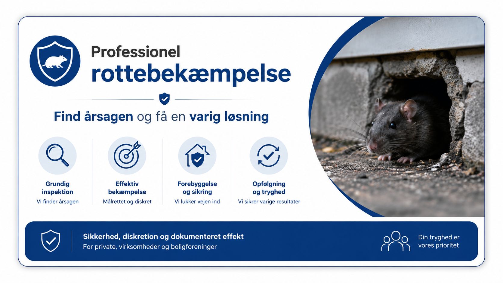 En professionel service til rottebekæmpelse tilbyder grundig inspektion, effektiv bekæmpelse og forebyggende sikring for virksomheder og private.
