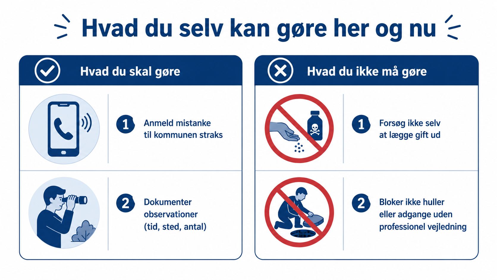 En infografik der viser hvad man skal gøre og ikke må gøre ved mistanke om rotter.