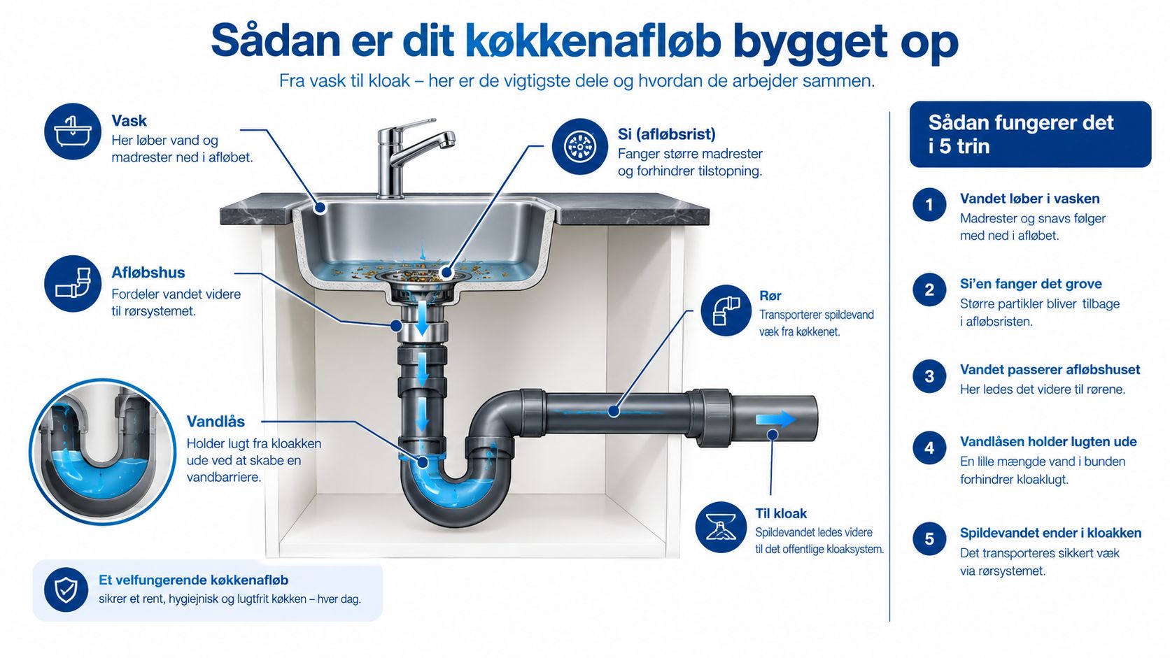 En infografik der viser opbygningen af et køkkenafløb og hvordan vandlåsen forhindrer kloaklugt i at trænge ind.
