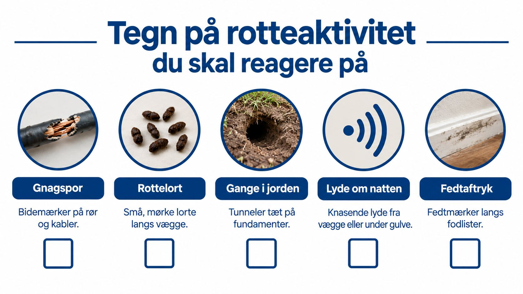 En infografik der viser fem vigtige tegn på rotteaktivitet i hjemmet, som du skal reagere på.